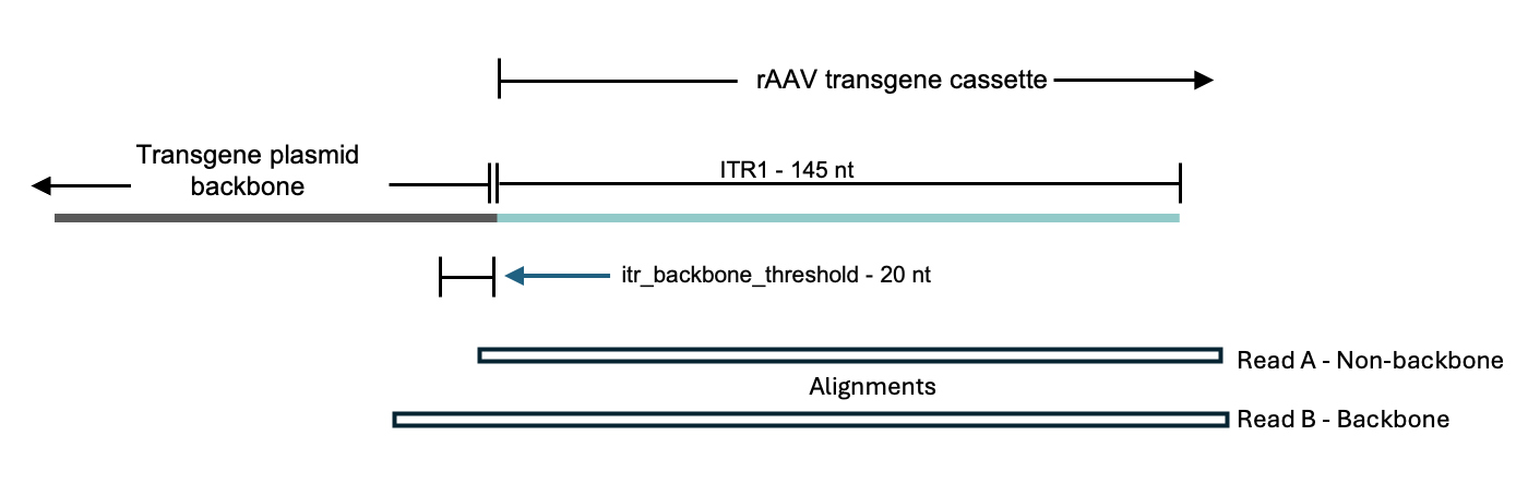 Backbone integration
