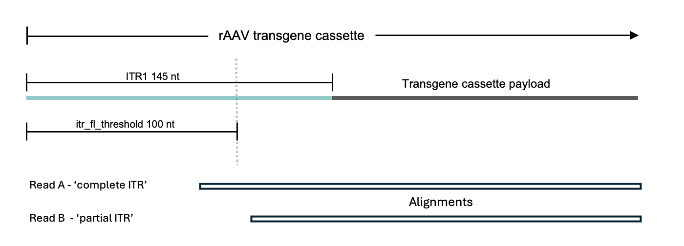 Partial and complete ITRs