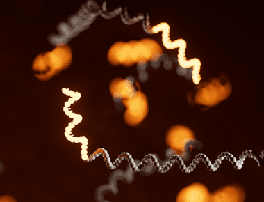 A comprehensive matched cDNA and direct RNA dataset of UHRR and HG002
