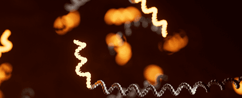 A comprehensive matched cDNA and direct RNA dataset of UHRR and HG002