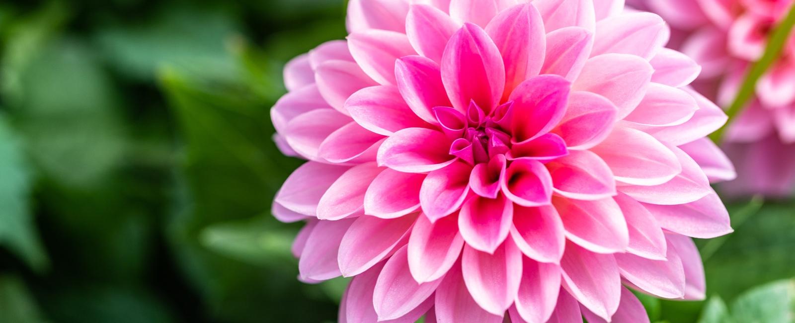 EPI2ME 25.12-01 Release