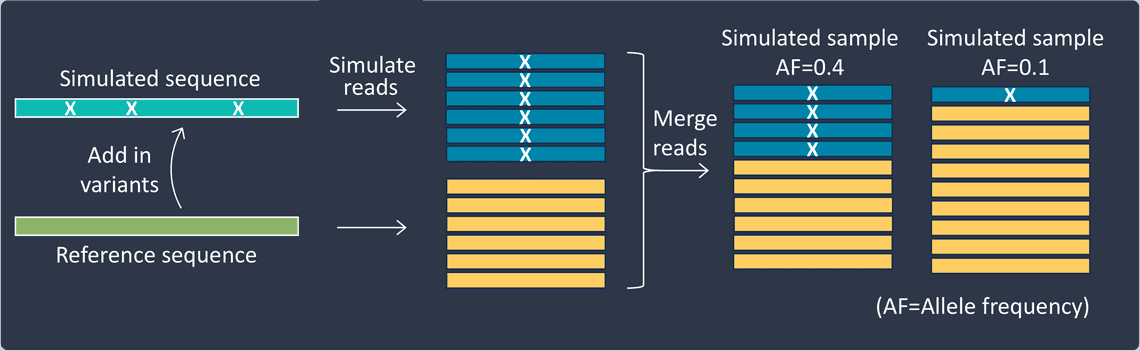 Novel variant simulation