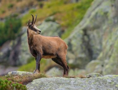 EPI2ME on Ubuntu 24.04-based devices