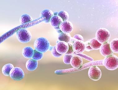 Fungal Mock Community with ITS amplicon