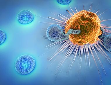 Sequencing A Tumor Normal Pair with Ligation Sequencing Kit V14