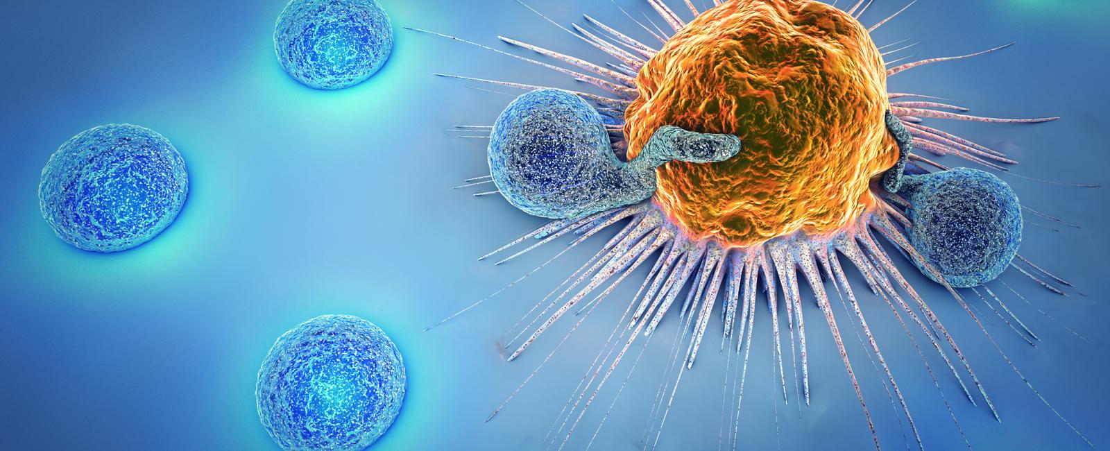 Sequencing A Tumor Normal Pair with Ligation Sequencing Kit V14