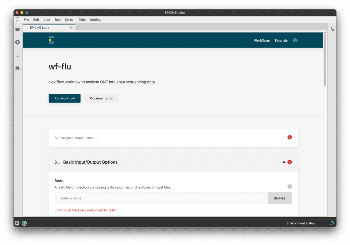 EPI2ME Labs Influenza Workflow Settings