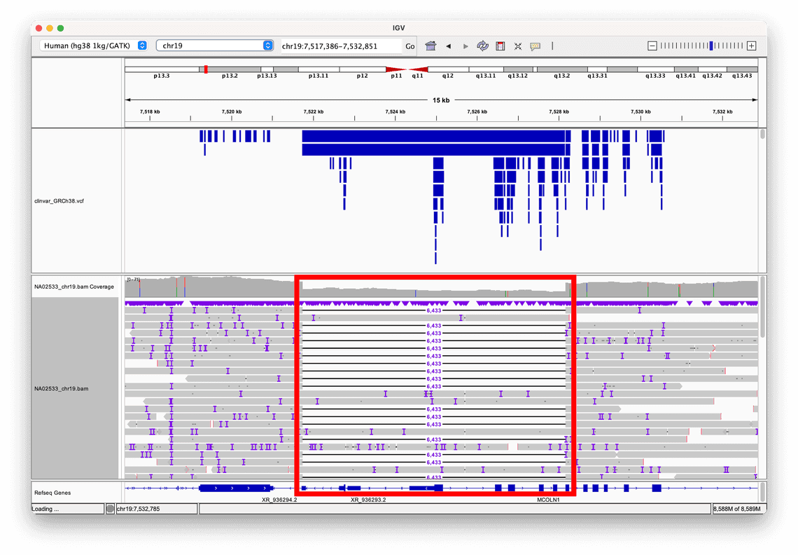 Viewing a large deletion