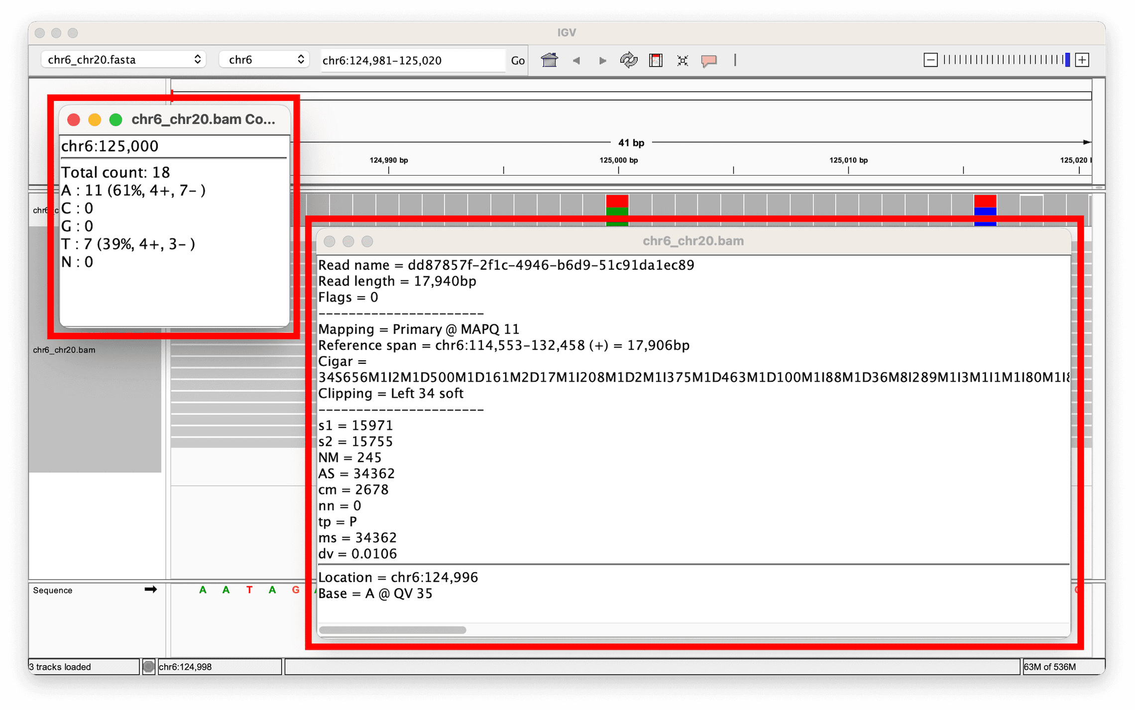 A guide to reviewing BAM files | EPI2ME Blog
