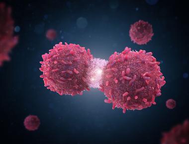 Hereditary Cancer Panel