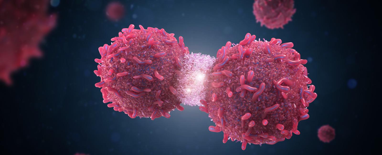 Hereditary Cancer Panel