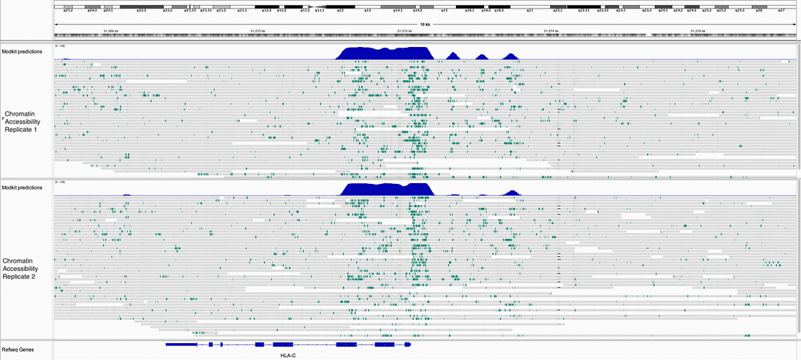 Browser screenshot showing enrichment of 6mA