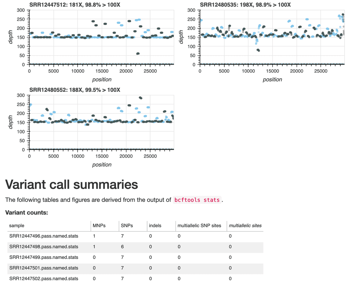 ARTIC Workflow Report