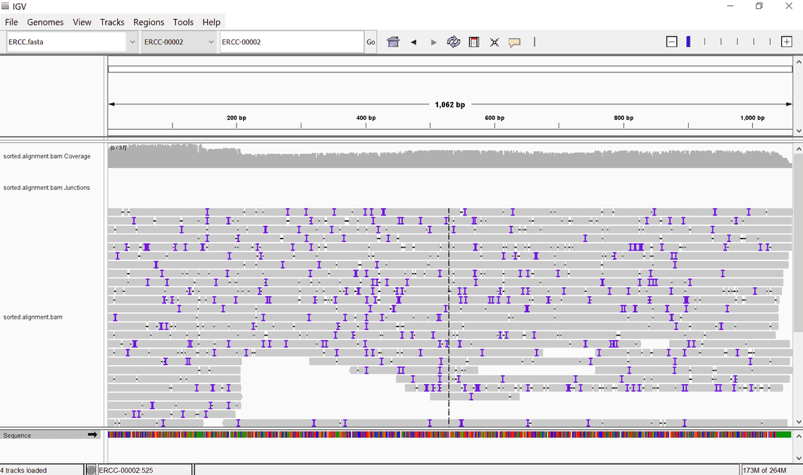 IGV alignment example