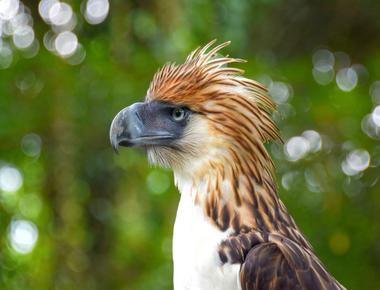 EPI2ME 26.01-01 Release