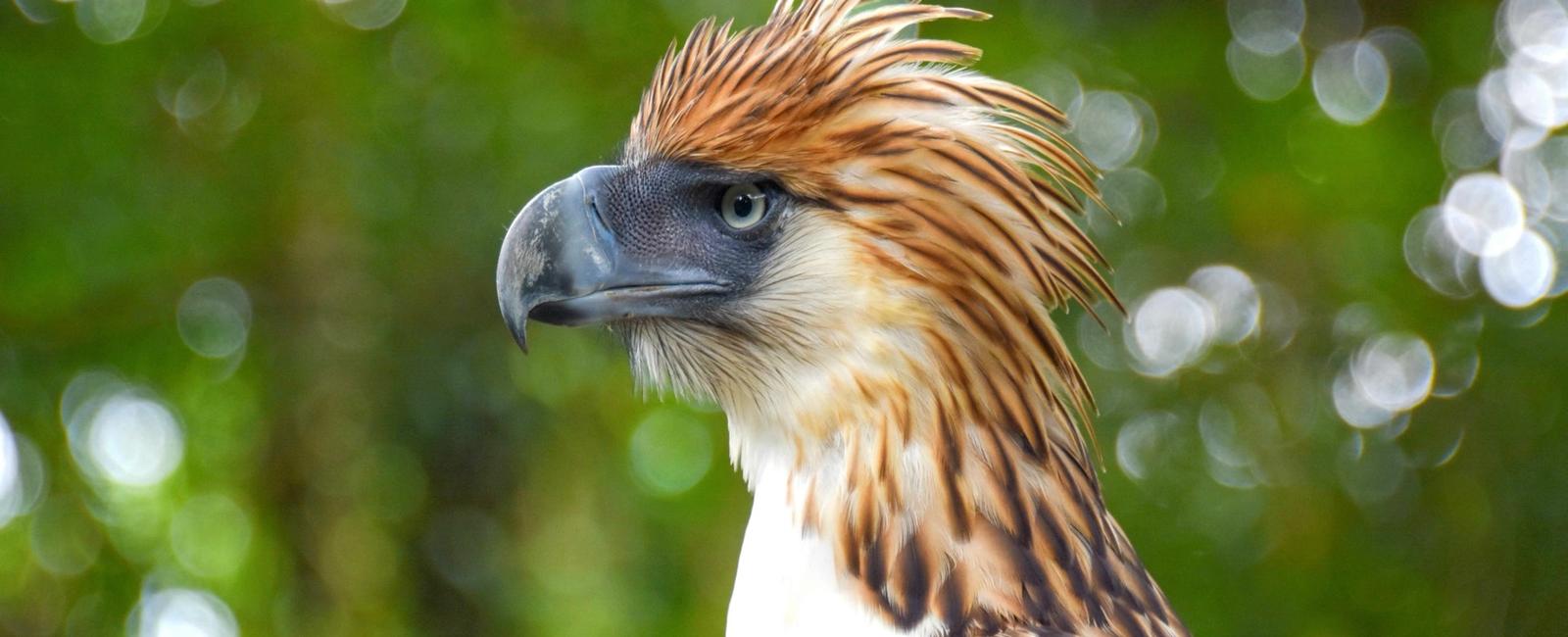 EPI2ME 26.01-01 Release