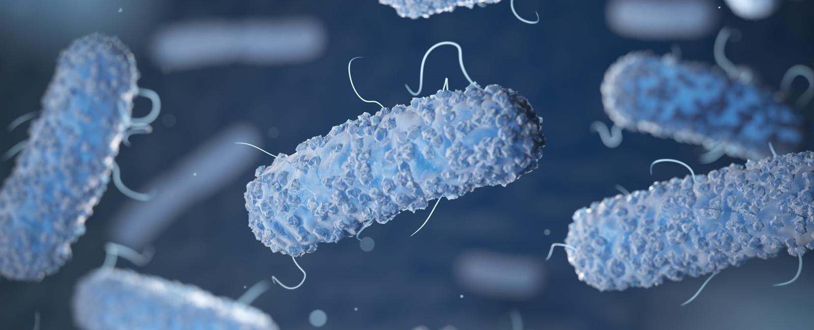 EPI2ME 26.04-01 Release