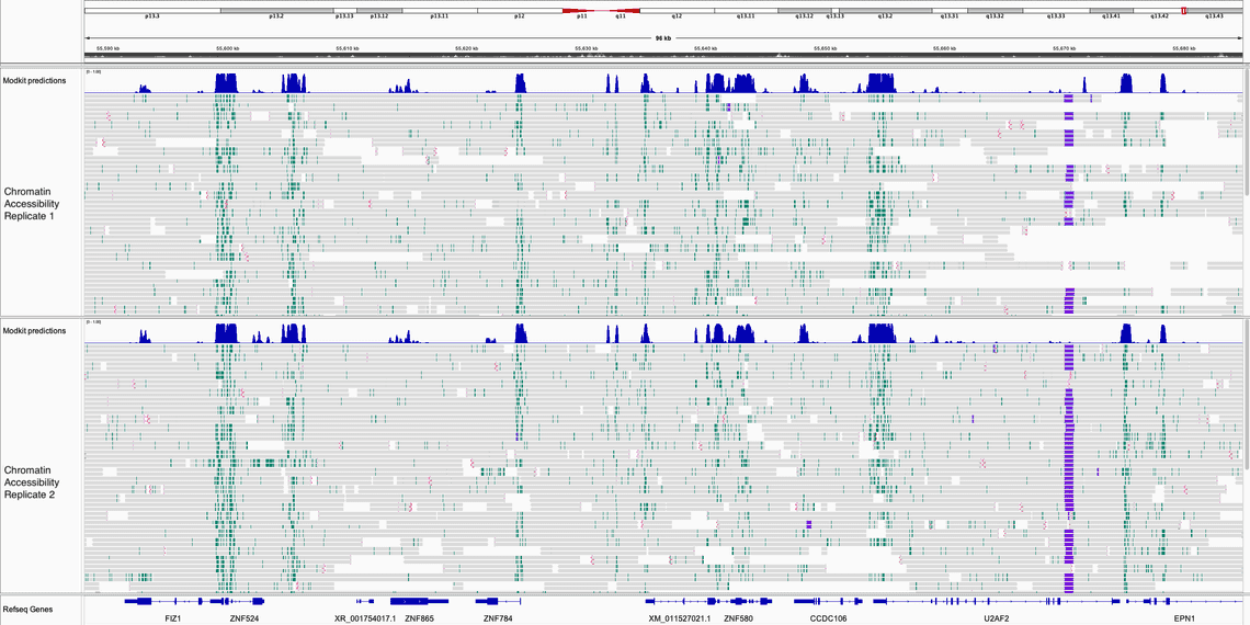 Browser screenshot showing enrichment of 6mA