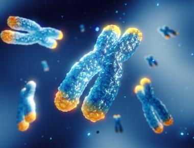 Teloseq 12-plex Human and Cow cell lines