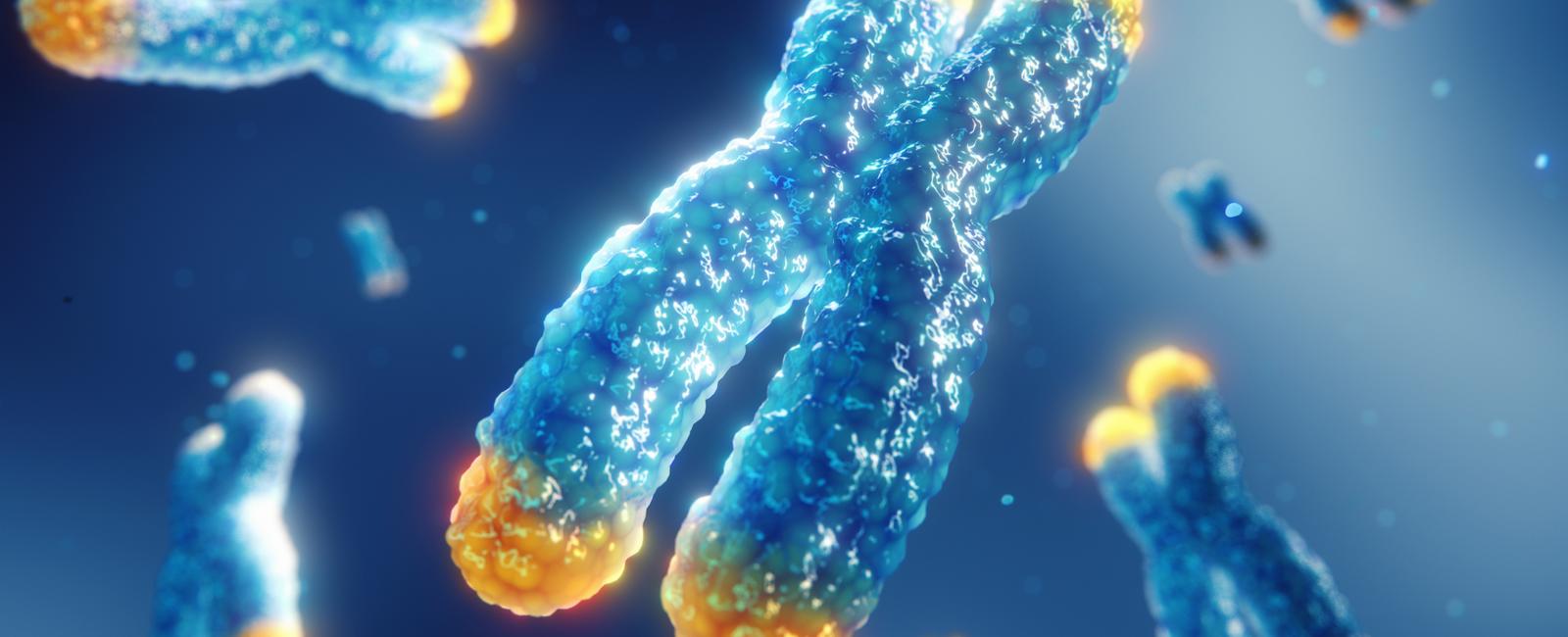 Teloseq 12-plex Human and Cow cell lines