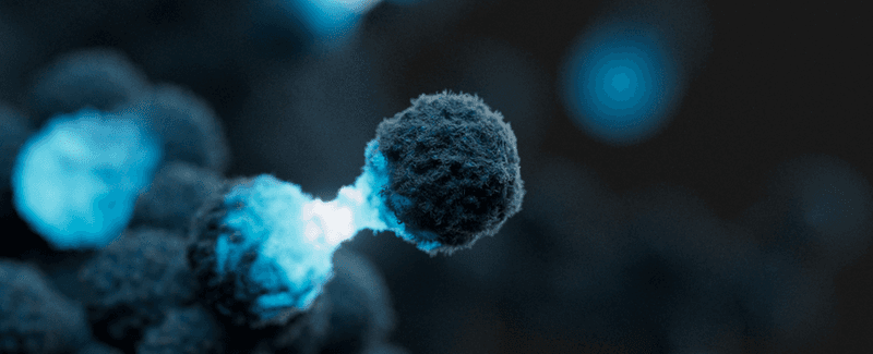 Hereditary Cancer Panel Positive Control