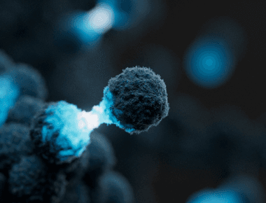 Hereditary Cancer Panel Positive Control